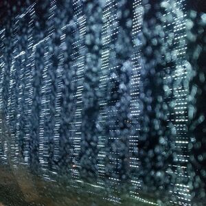 Meet your Posher, T.J.